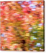 Abstract Fall Leaves 2 Acrylic Print