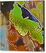 Abstract Leaf Acrylic Print