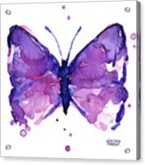 Abstract Purple Butterfly Watercolor Acrylic Print