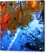 Abstractions In Autumn Acrylic Print