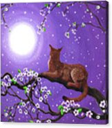 Abyssinian In Amethyst Moonlight Acrylic Print