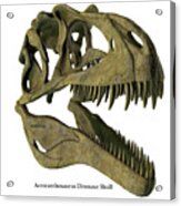 Acrocanthosaurus Skull With Font Acrylic Print