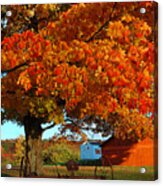 Adirondack Autumn Color Acrylic Print