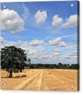 After The Harvest Uk Acrylic Print