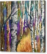 Afternoon Among The Birches Acrylic Print