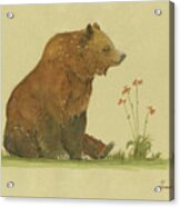 Alaskan Grizzly Bear Acrylic Print