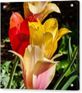 All In A Pretty Row Acrylic Print