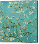 Almond Blossom, 1890 Acrylic Print