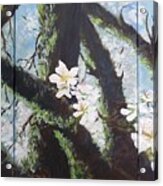 Almond Blossom Triptych Acrylic Print