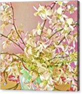 Aloha Bouquet Of The Day - White Orchids In Pink Acrylic Print