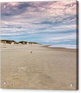 Alone In The World On The Outer Banks Acrylic Print