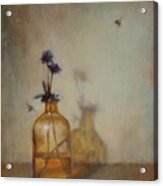 Amber Bottle And Bees Acrylic Print