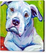 American Bulldog on Elbows Painting by Dottie Dracos - Fine Art America