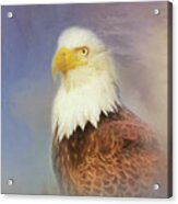 American Eagle Acrylic Print