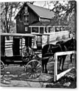 Amish Horse And Buggy In Black And White Acrylic Print