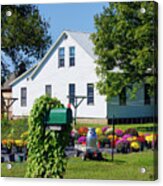 Amish House With Mums Acrylic Print