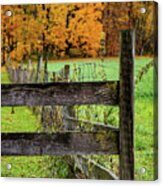 An Autumn Moment In The Country Acrylic Print