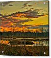 An November Sunset In The Pines Acrylic Print