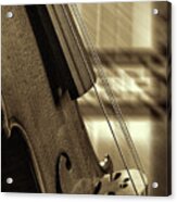 Antique Violin 1732.72 Acrylic Print