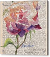 Antique Rose On Antique Paper Acrylic Print