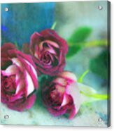 Antique Roses Acrylic Print