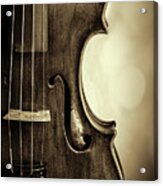 Antique Violin 1732.34 Acrylic Print