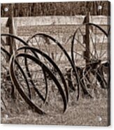 Antique Wagon Wheels I Acrylic Print