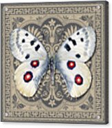 Apollo Butterfly Design Acrylic Print