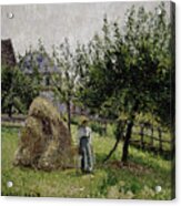Apple Trees In Eragny, Sunny Morning, 1903 Acrylic Print