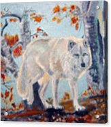 Arctic Wolf Acrylic Print