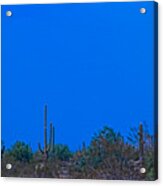 Arizona Desert Landscape Acrylic Print