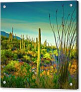 Arizona Landscape Series L9250069 Acrylic Print