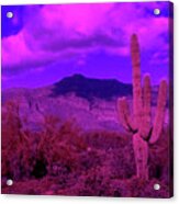 Arizona Purple Haze Acrylic Print