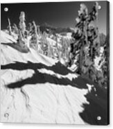 Artist Point Black And White Acrylic Print