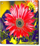 Artistic Bloom - Pla227 Acrylic Print