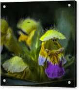 Artistic Hover Acrylic Print