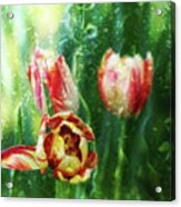 Artistic Tulips Acrylic Print