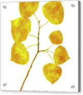 Aspen Tree Leaf Art Acrylic Print