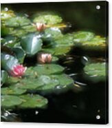 At Claude Monet's Water Garden 11 Acrylic Print