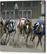 At The Track Acrylic Print