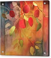 Autumn Apples 3d Acrylic Print