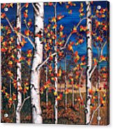 Autumn Birch Forest Acrylic Print