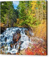 Autumn Cascades In The Sierra Acrylic Print