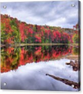 Autumn Color At The Pond Acrylic Print