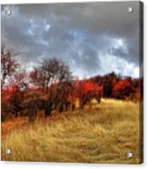Autumn Colors At Magpie Forest Acrylic Print