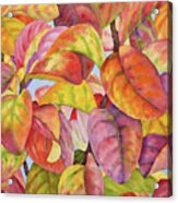 Autumn Crepe Myrtle Acrylic Print