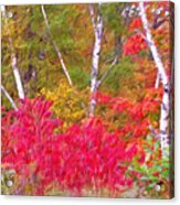 Autumn Decor Acrylic Print