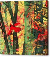 Autumn Flight Acrylic Print