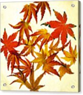 Autumn Flury Acrylic Print