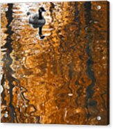 Autumn Goose Reflection Acrylic Print